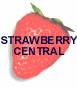 Strawberry Central at FareShare